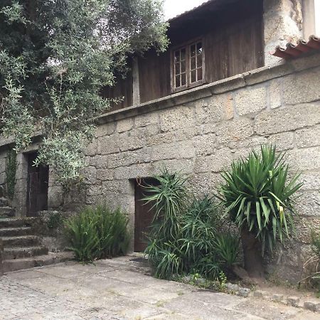 Havan House Amarante Exterior photo